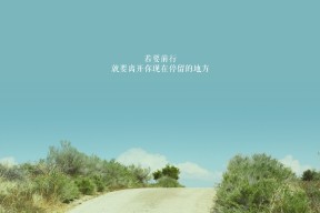 九游网页版官网入口-“伊万·戈梅斯的精准传球与进攻引导，助力美洲狮队不断迎接新挑战”