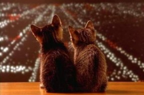 九游游戏中心官网-体育产业资本市场发展，体育产业资本市场发展现状