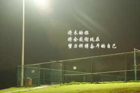 九游游戏中心官网-米兰双雄争夺激烈，意甲冠军悬念未解