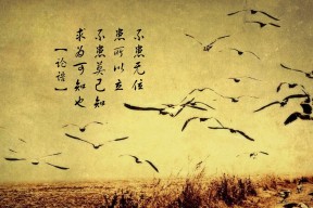 九游app下载中心-中国足球俱乐部鼓励退役球员参与校园讲座，足球队退役