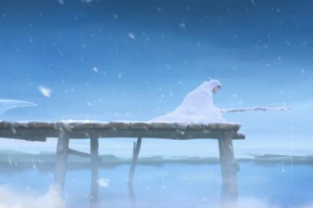 -奥运备战全面展开各项准备就绪，全力备战奥运会