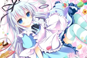 九游网页版官网入口-“四川省体育馆：自由搏击赛事，选手们展开血脉喷张的极限对抗！”