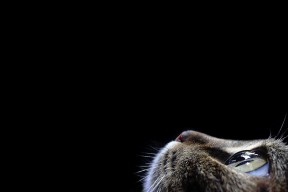 九游(jiuyou)官方网站-波兰选手赫梅列夫斯基冲刺显威，波格丹·赫梅利尼茨基勋章