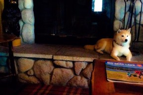 -“2025世界运动会：高新体育中心沙滩排球赛事成观众亮点”