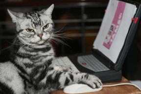 九游游戏中心官网-本土球员如何打破角色球员的标签，本土球员如何打破角色球员的标签视频