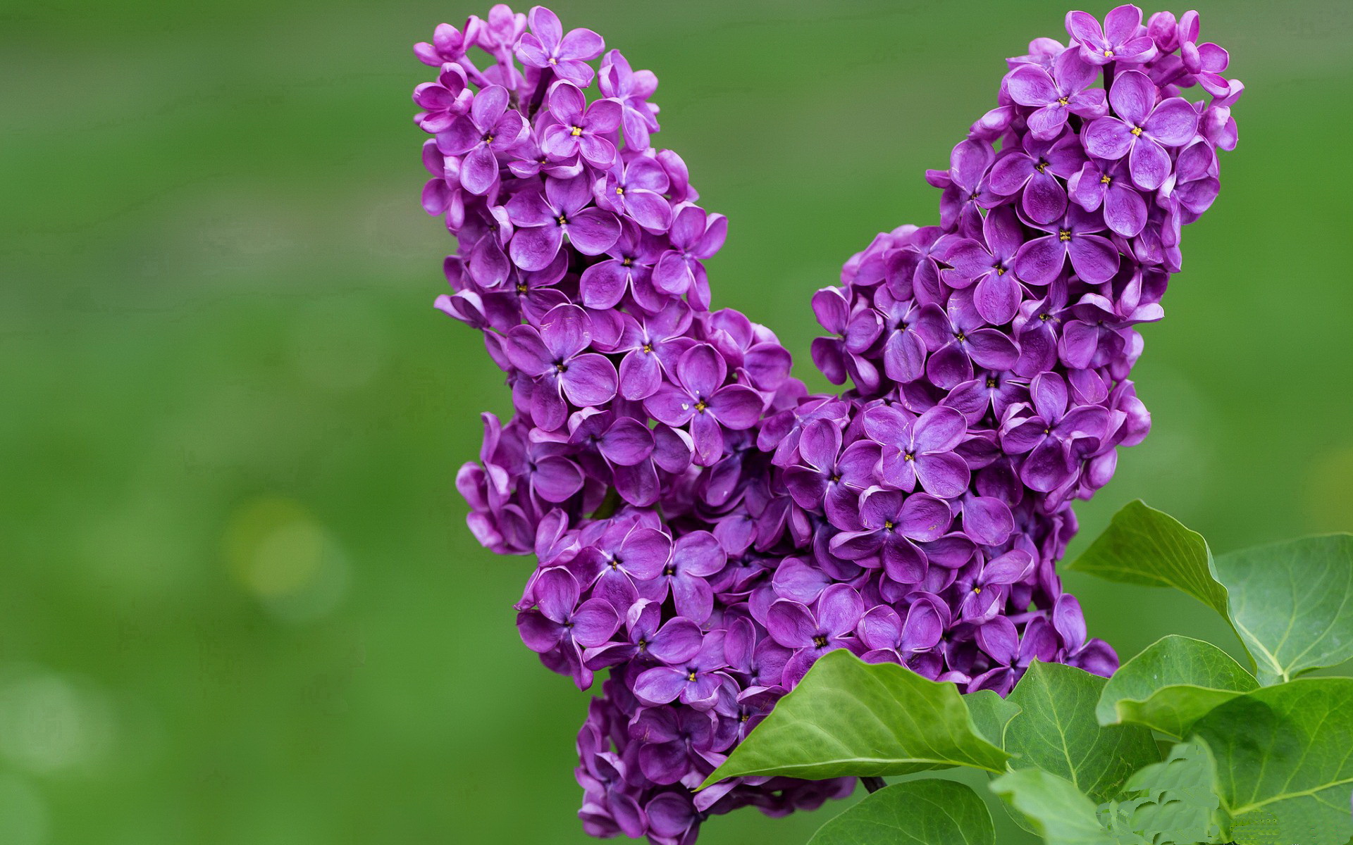 Chinese Taipei崭露头角,2024年世界杯进步显著,2024年世界杯在哪儿