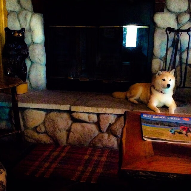 “2025世界运动会:高新体育中心沙滩排球赛事成观众亮点”