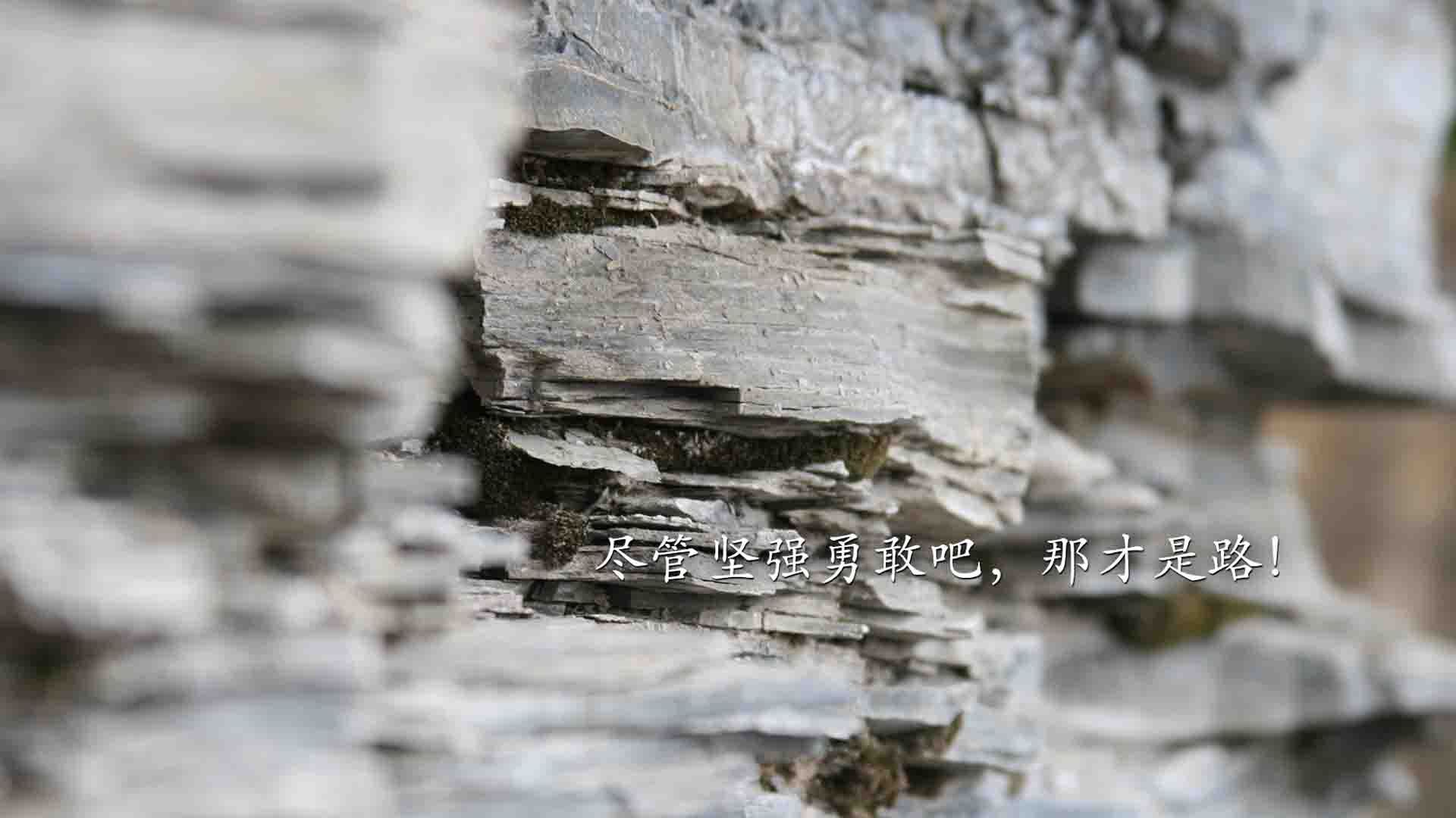 中国男篮调整进攻节奏适应比赛需求,中国男篮规则