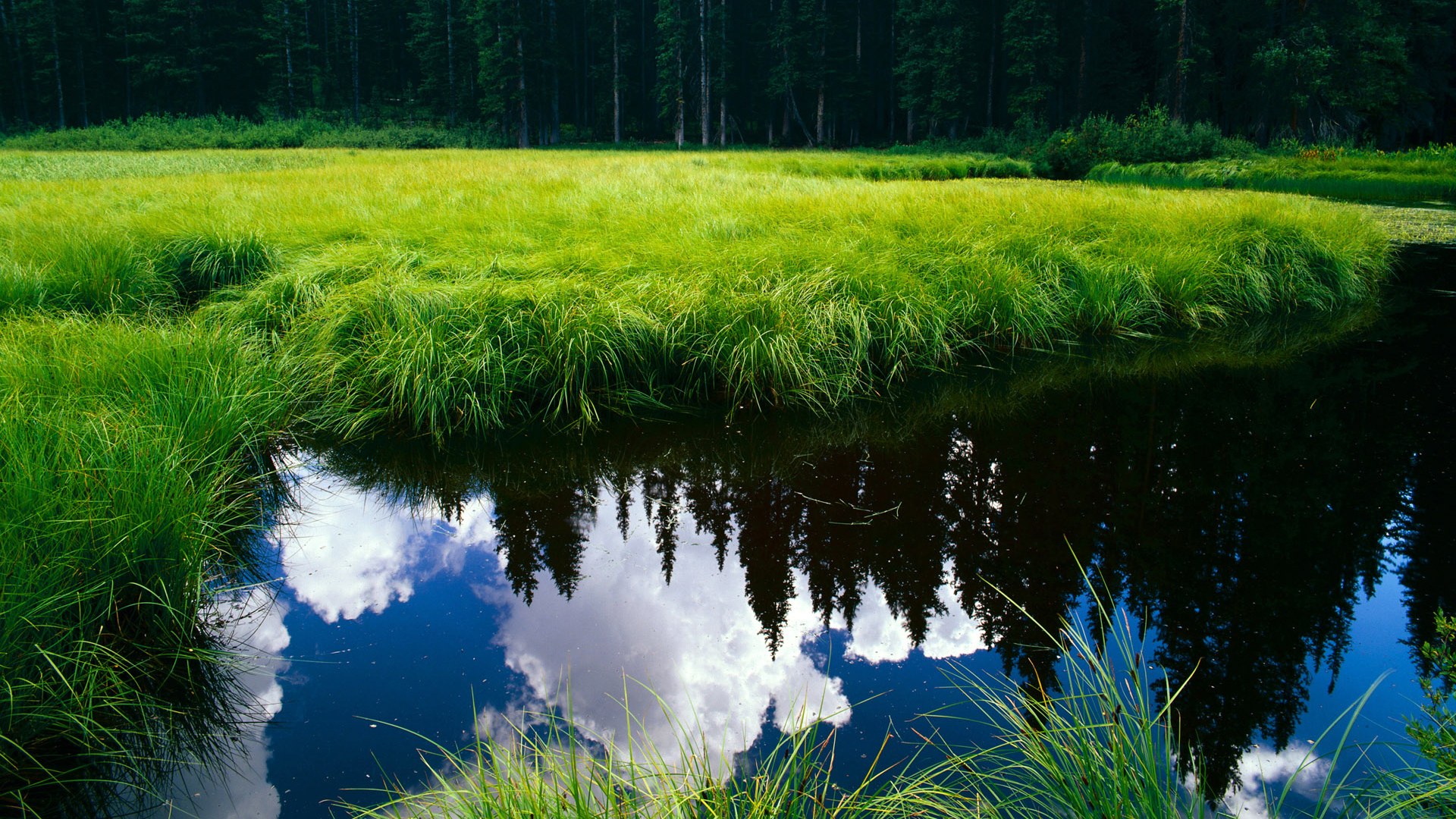 外教带队风格与球队适应性矛盾,外教团队对训练的要求很高
