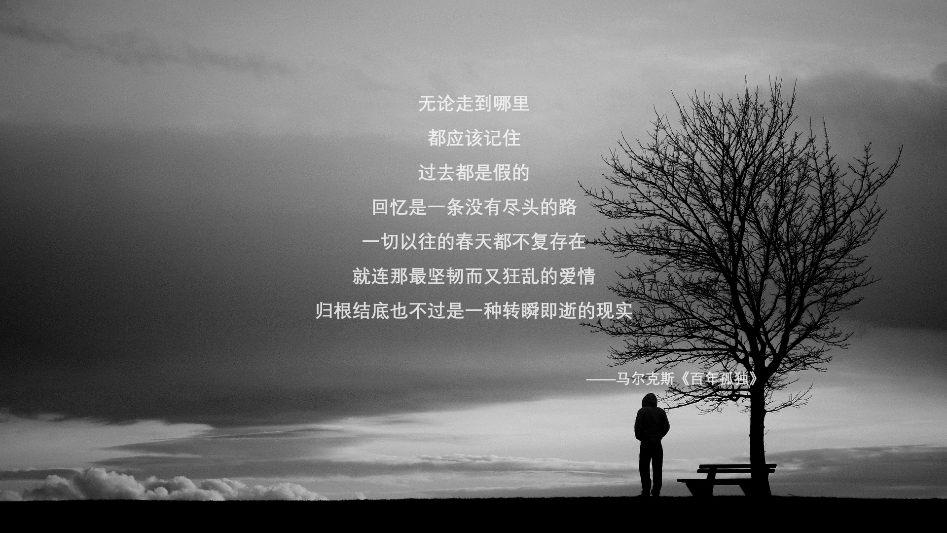 奥运备战全面展开各项准备就绪,全力备战奥运会