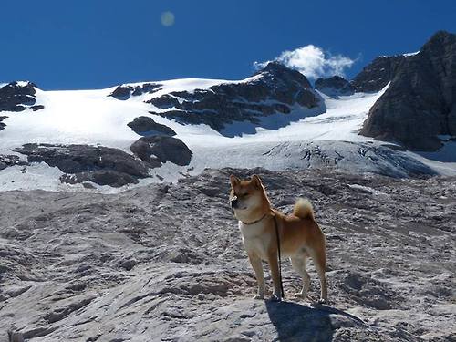 东京奥运会男篮预选赛激战正酣,期待各国球队争夺席位,东京奥运会男篮球资格赛