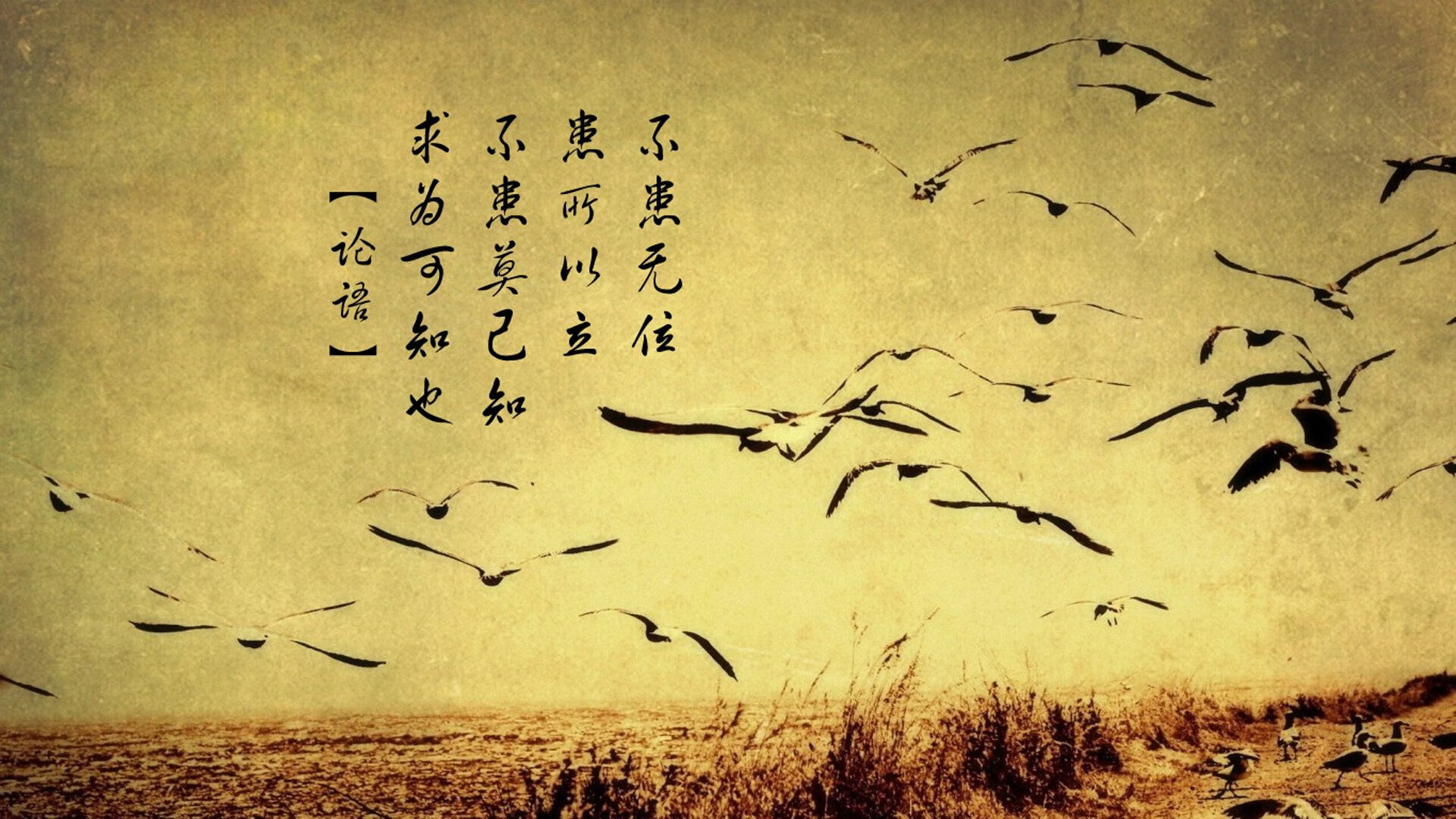 中国足球俱乐部鼓励退役球员参与校园讲座,足球队退役