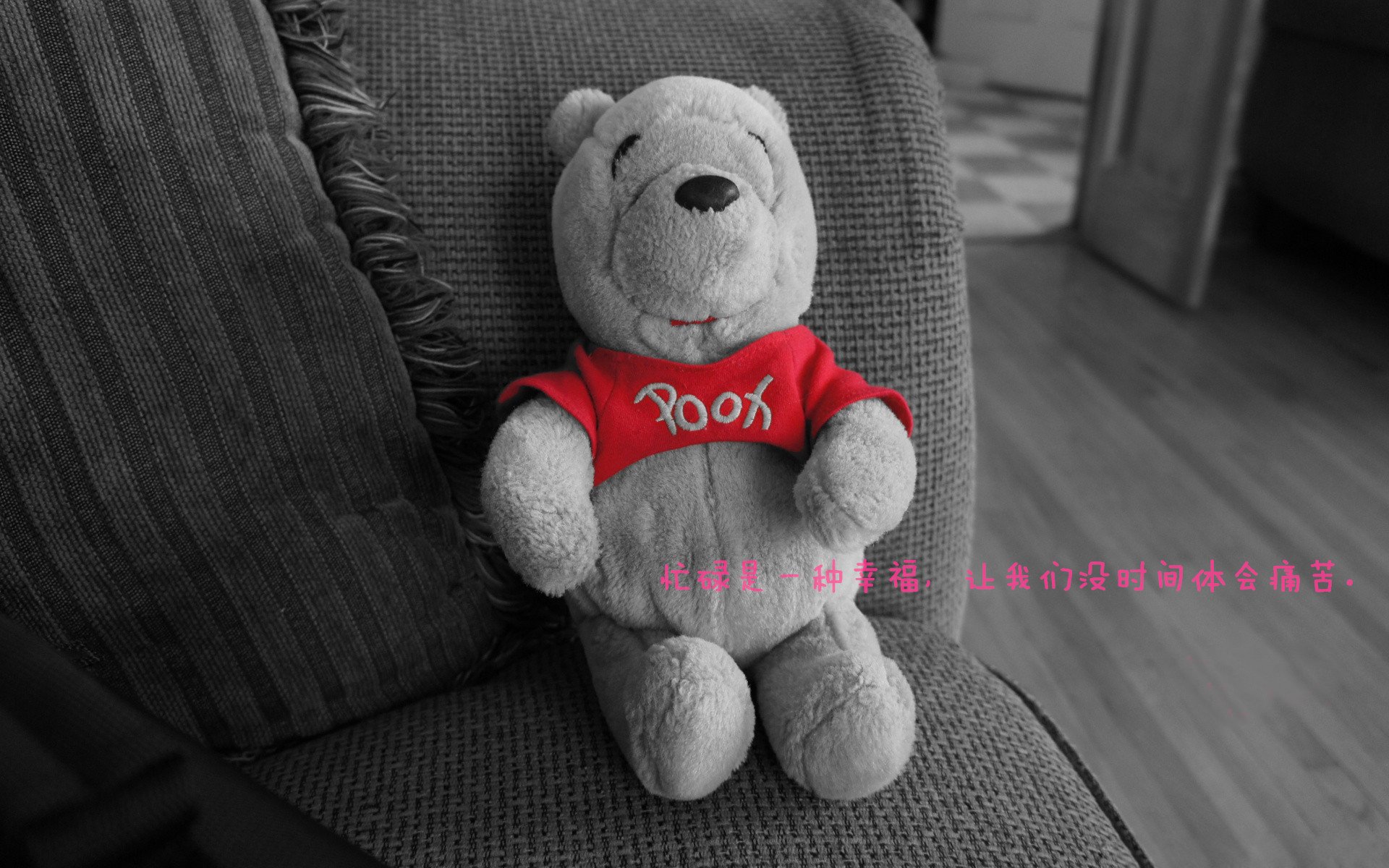 乌拉圭女篮在南美锦标赛中姿态坚强,迈步新高度,乌拉圭篮球赛