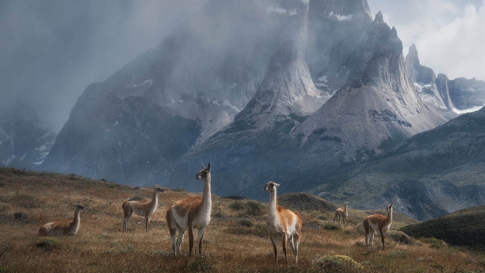 全队训练体系趋于标准化与国际接轨,全队训练体系趋于标准化与国际接轨问题