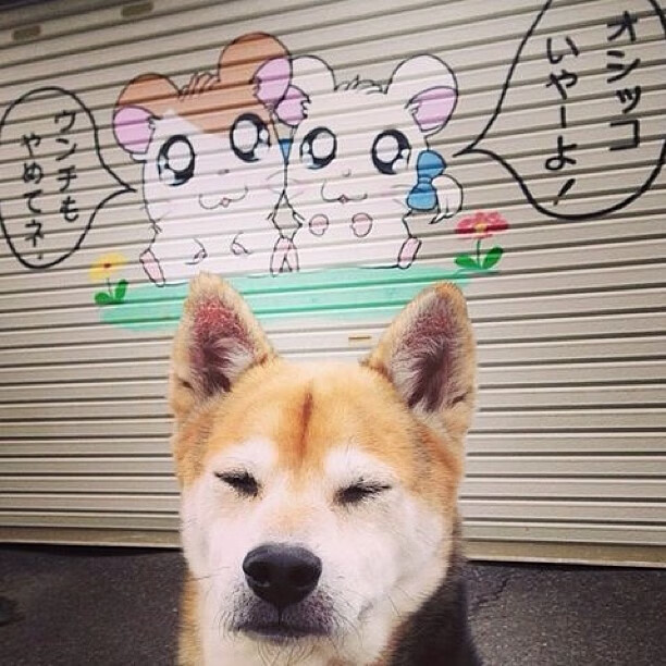 法甲豪门对决:战术与天赋的高水平较量,法甲豪门球队排名