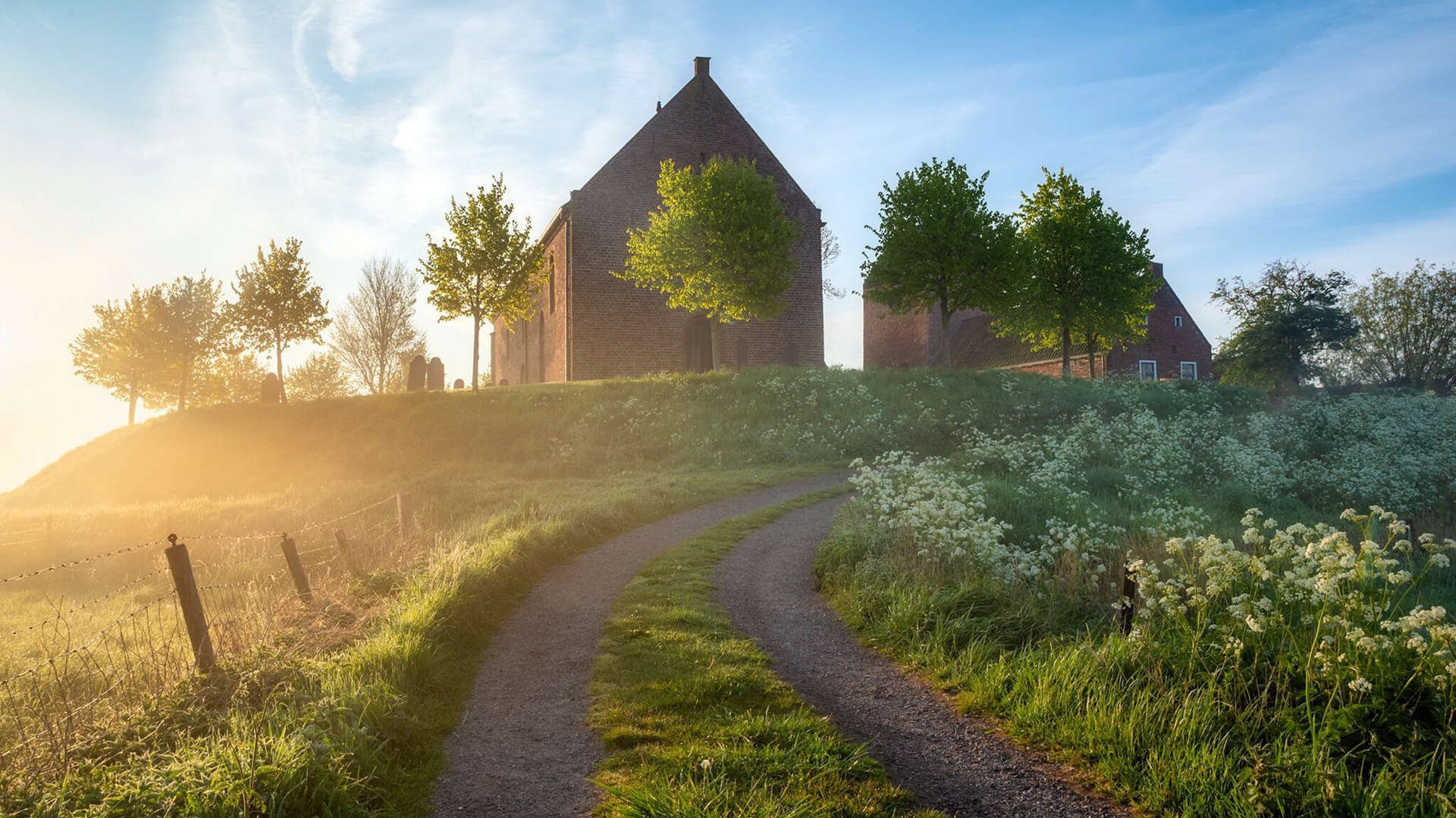 苏炳添入选城市形象推广大使,苏炳添入选城市形象推广大使是谁