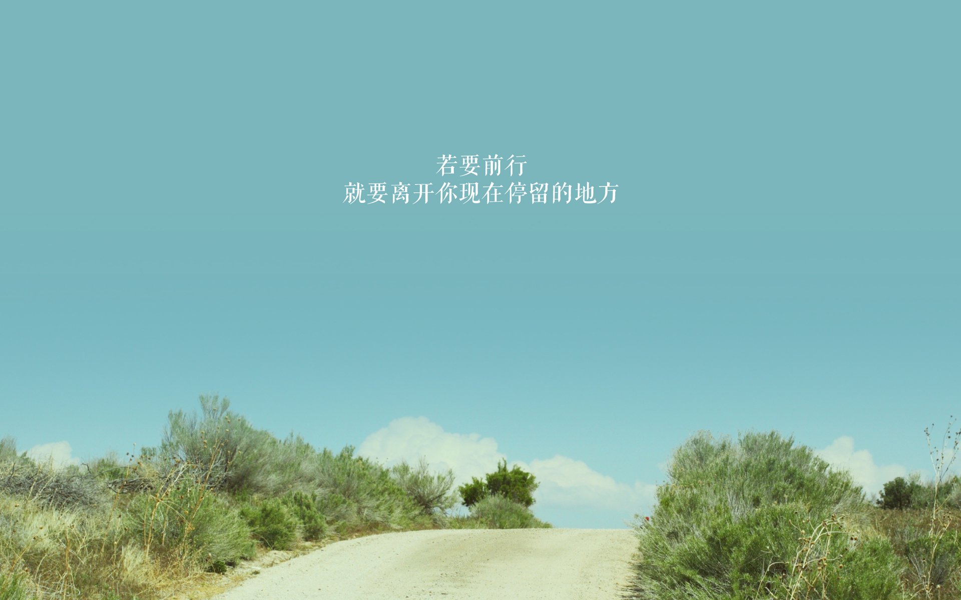 “伊万·戈梅斯的精准传球与进攻引导，助力美洲狮队不断迎接新挑战”